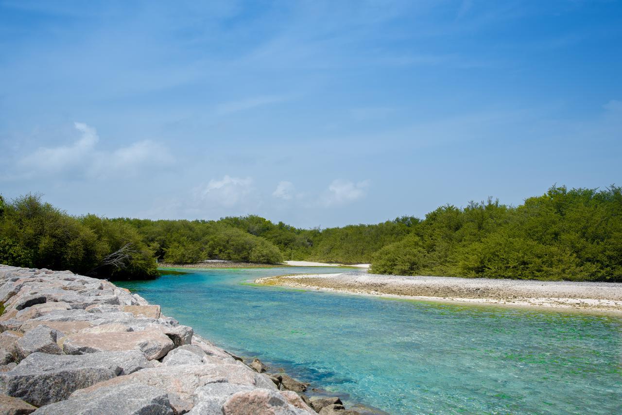 Reef Edge Thulusdhoo, Maldives Ξενοδοχείο Εξωτερικό φωτογραφία